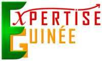 Logo Expertise Guinée